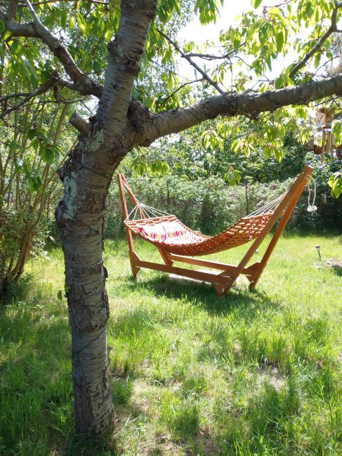Kranichhorst - Exklusiv-nutzung Mit Grossem Garten Und Strandnaehe Bodstedt